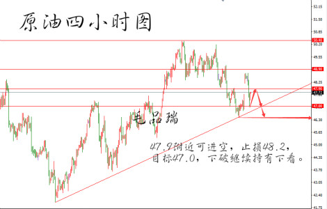 仔姜价格行情详解,如何了解并把握市场趋势