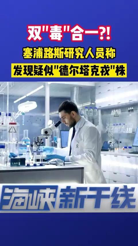 海峡新干线最新动态,小巷深处的独特风味