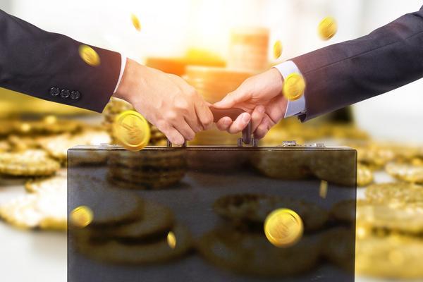 最新成立的公司的成功之路,创新与机遇并存