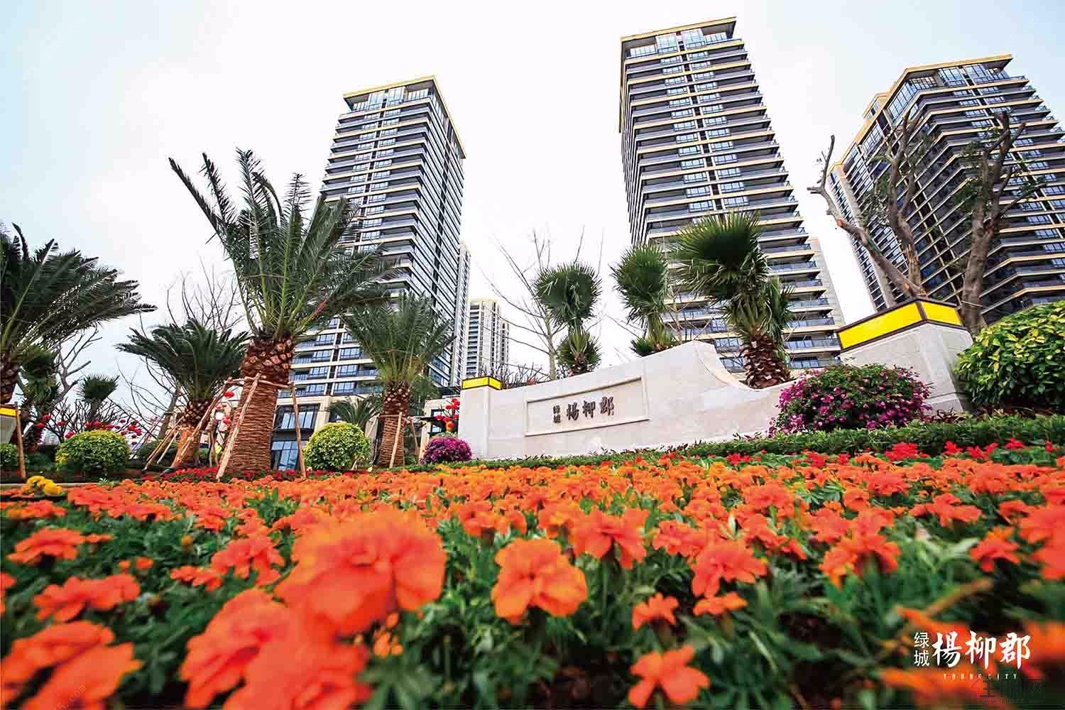 柳州杨柳郡最新点评