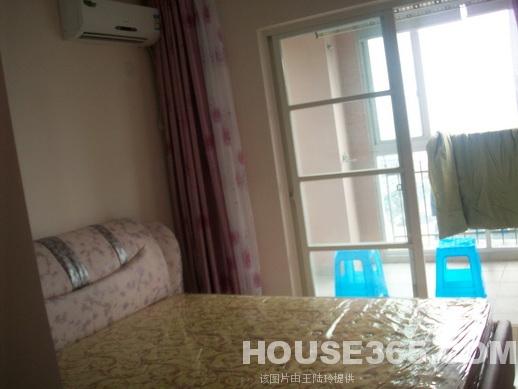 茌平租房小记,家的温暖与友情的纽带