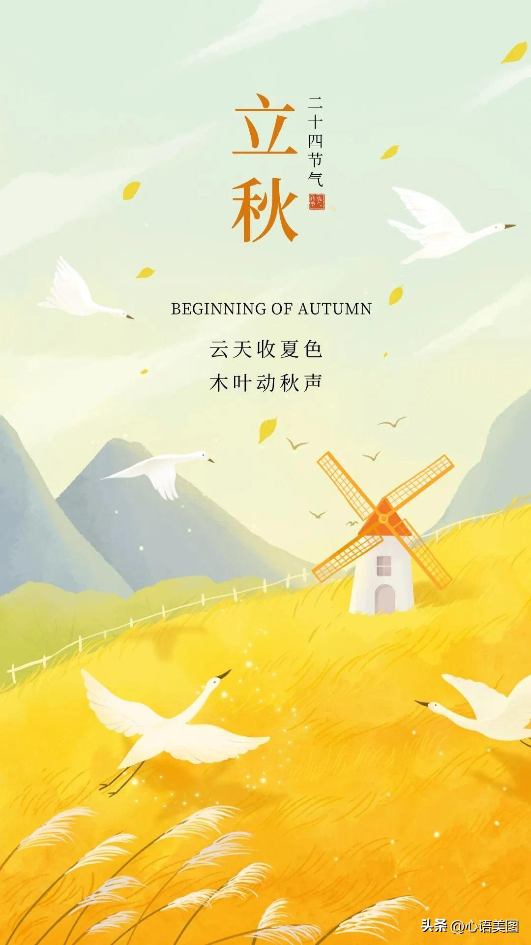 美图新品上市记,一场关于友情与期待的温馨故事