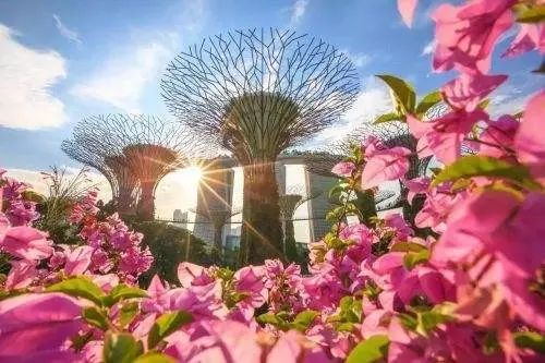 老公宠爱唐心颜最新篇,一场自然美景的探索之旅