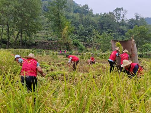 汉滨最新资讯,城市发展的活力源泉