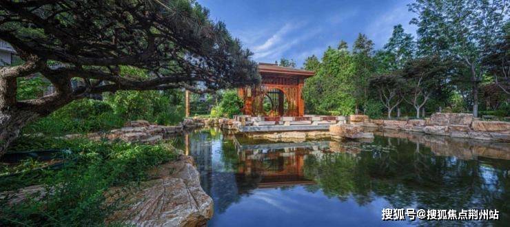 花生最新行情与友情的温馨日常