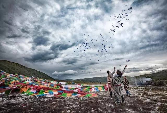 宝通镍业最新消息,一场心灵与自然的奇妙之旅