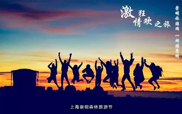 宝通镍业最新消息,一场心灵与自然的奇妙之旅