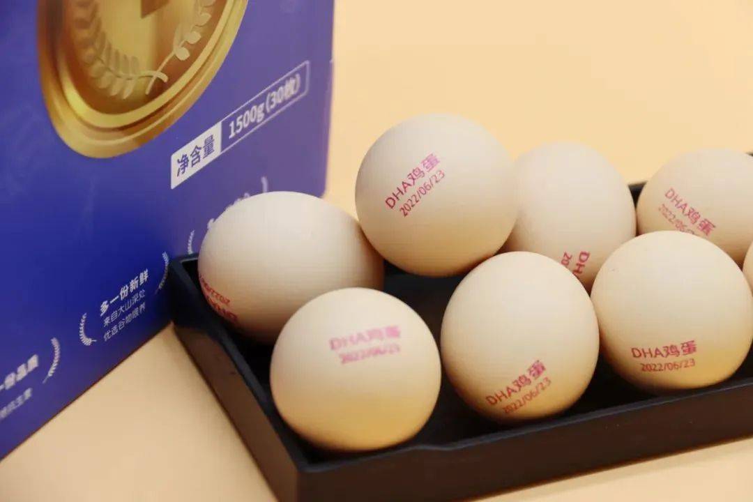 🌟硬蛋震撼上市,开启全新篇章🌟