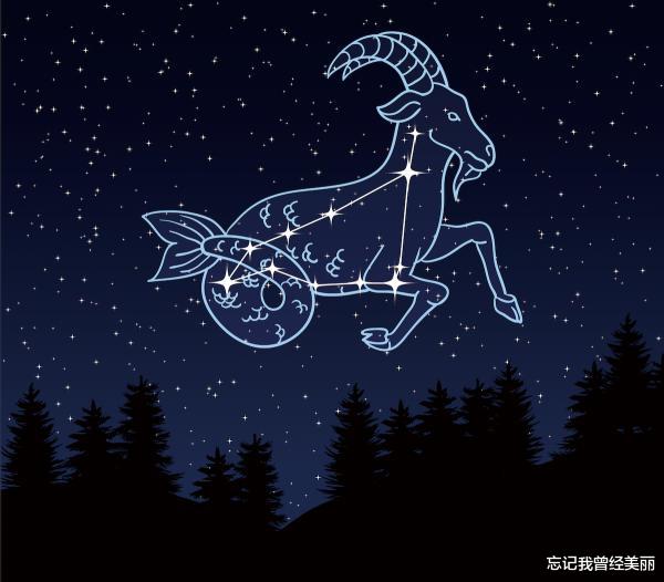 摩羯座明星,星光下的坚韧与执着
