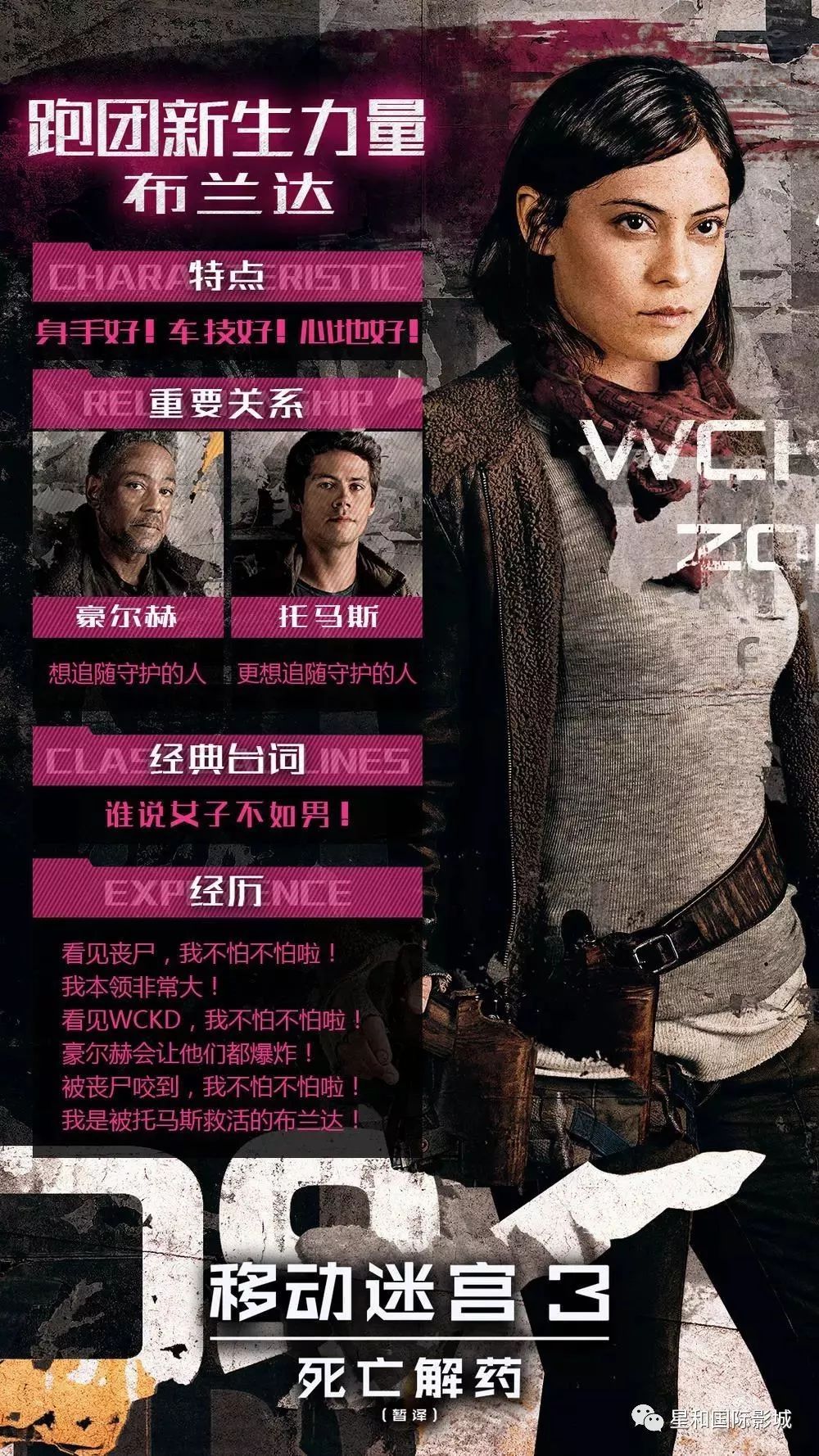 洛城机密演员表,深度解读角色与演员的魅力融合