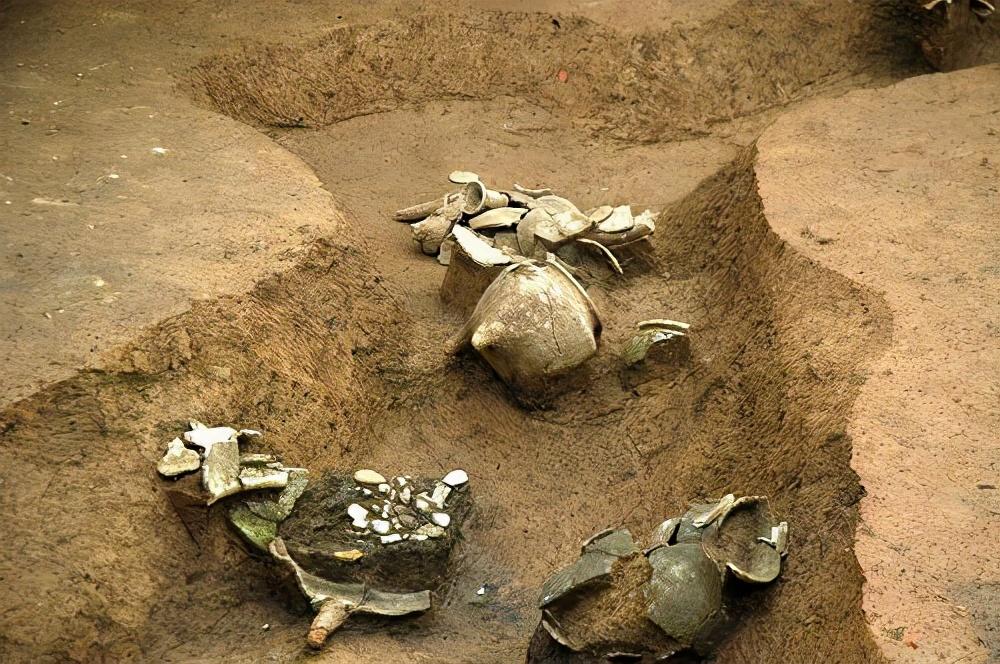 九凤传说最新动态,一种文化现象的深度解读