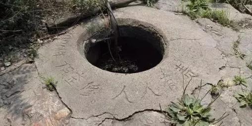 九凤传说最新动态,一种文化现象的深度解读