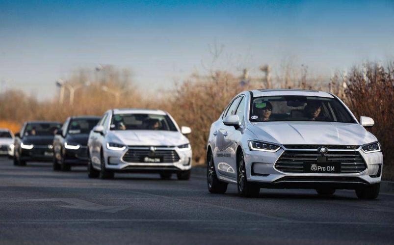 爆款推荐热门联盟APP最新版,让你轻松掌握潮流脉搏!✨