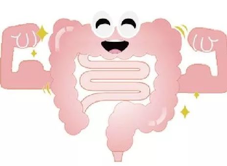 肠鸣资讯,探索肠道健康的新奥秘