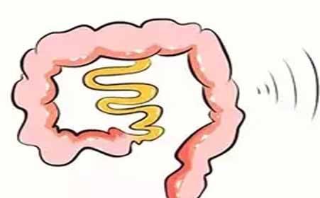 肠鸣资讯,探索肠道健康的新奥秘