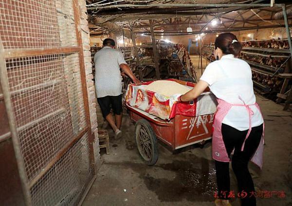 兰考教师薪资最新动态📢