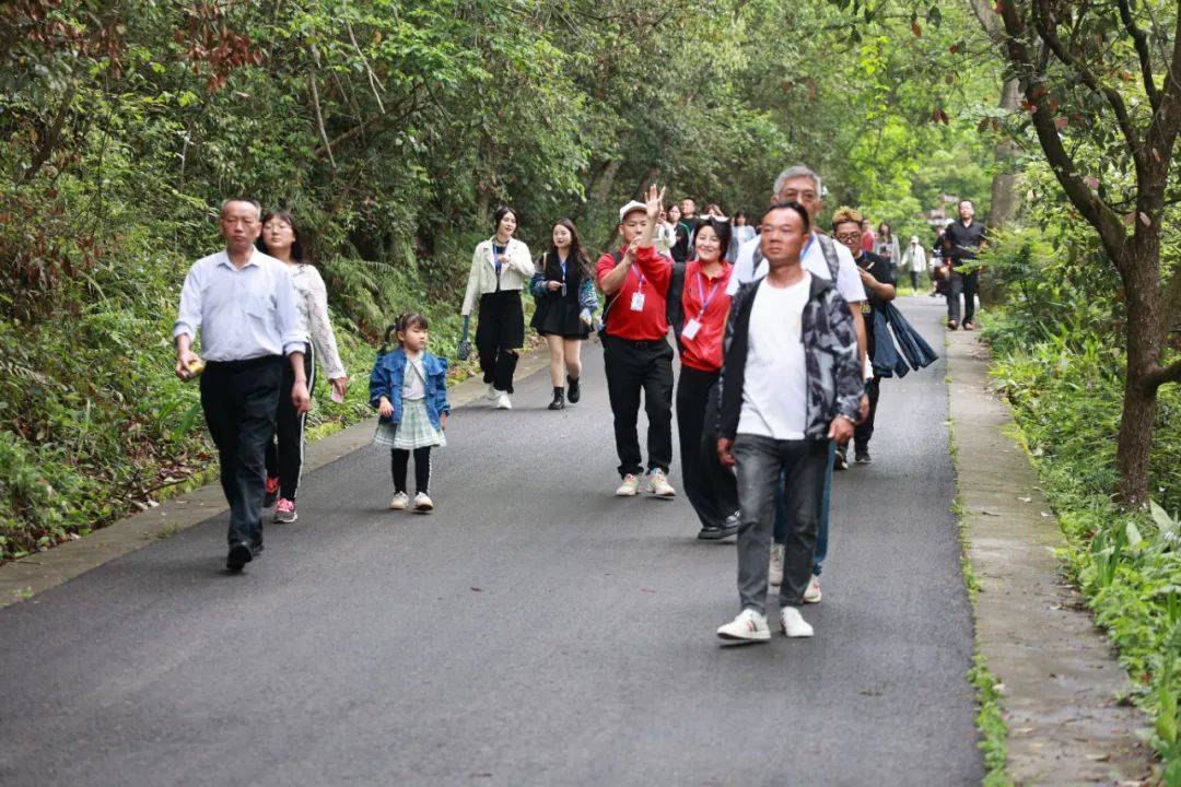 善心汇最新动态,一场自然美景的探索之旅