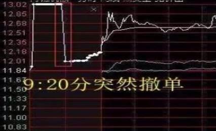 股票撤单是什么意思?——一场自我成长与认知变化的冒险之旅