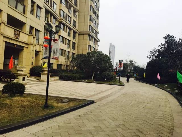 江阴南门首府最新动态,一个温馨的日常故事