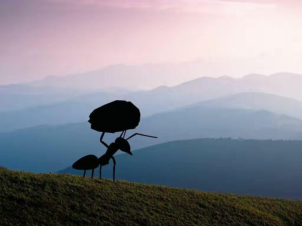 微型葫芦价格,一粒种子如何开启你的励志人生