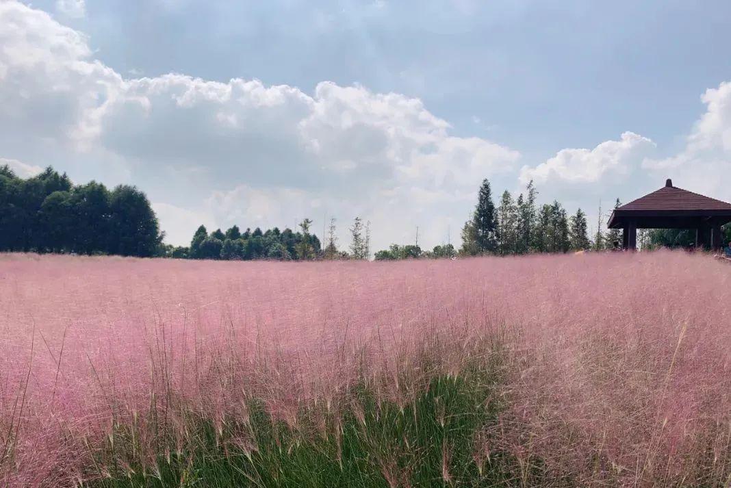 最新党书精选,一场自然美景的探索之旅