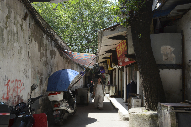 秦楼春最新更新,小巷中的独特风味探索之旅