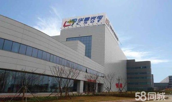 华星光电最新招聘资讯