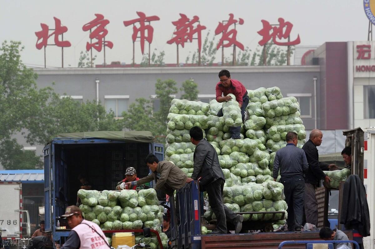 🌟创新手指计算技巧,轻松开启数学新纪元!🌟