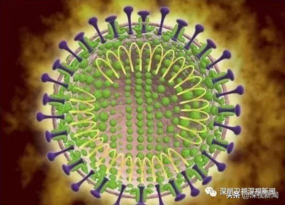 疫情最新动态,观点论述