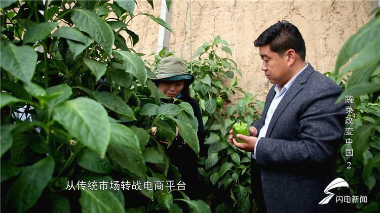 公司上市,风险背后的机遇与成长之路