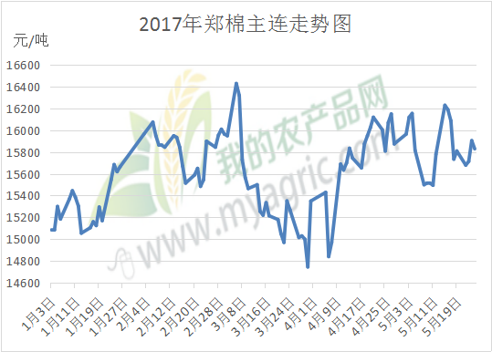 郑棉期货实时行情图解析