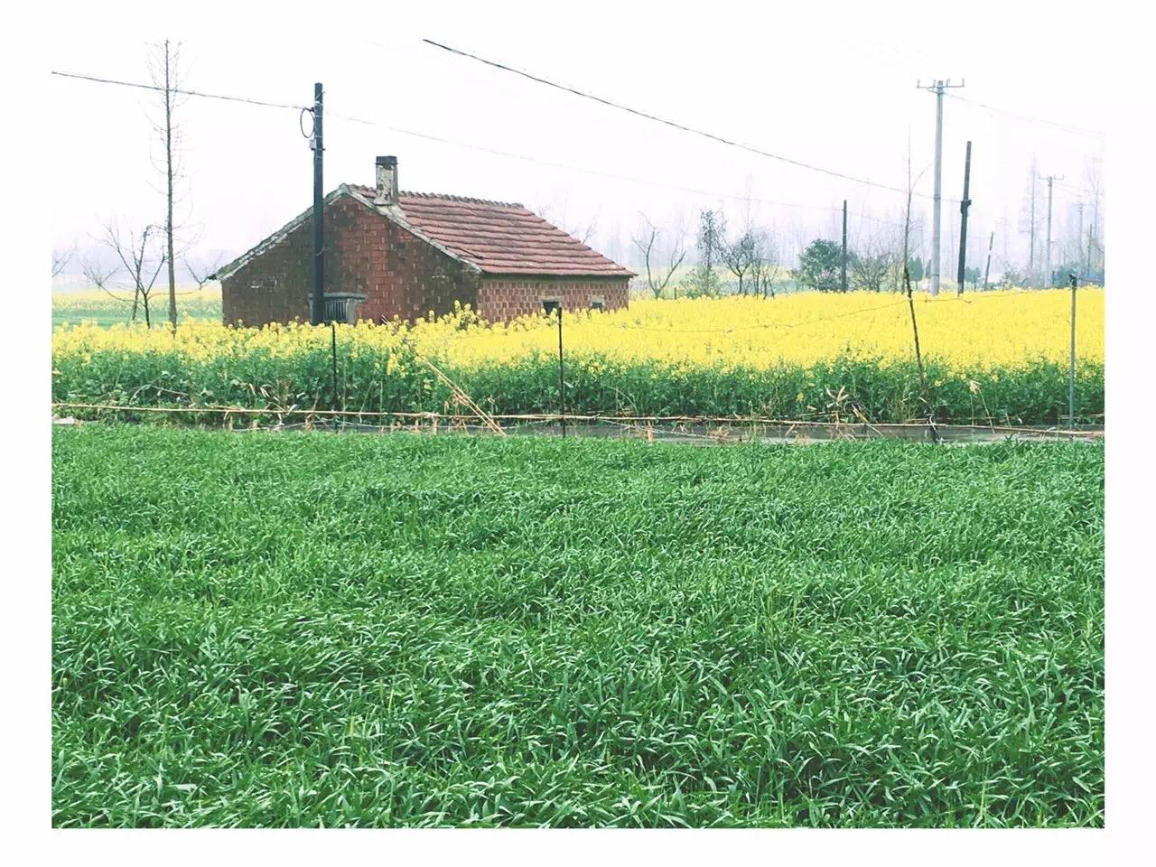 泥土清香最新片段制作步骤指南