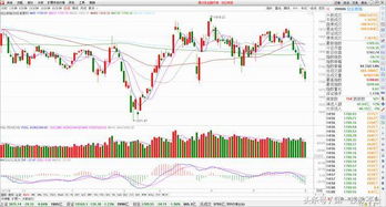 大盘实时指数行情,洞悉股市风云,掌握财富先机