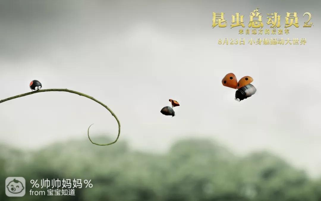 蚂蚁电影,微观世界的视觉盛宴