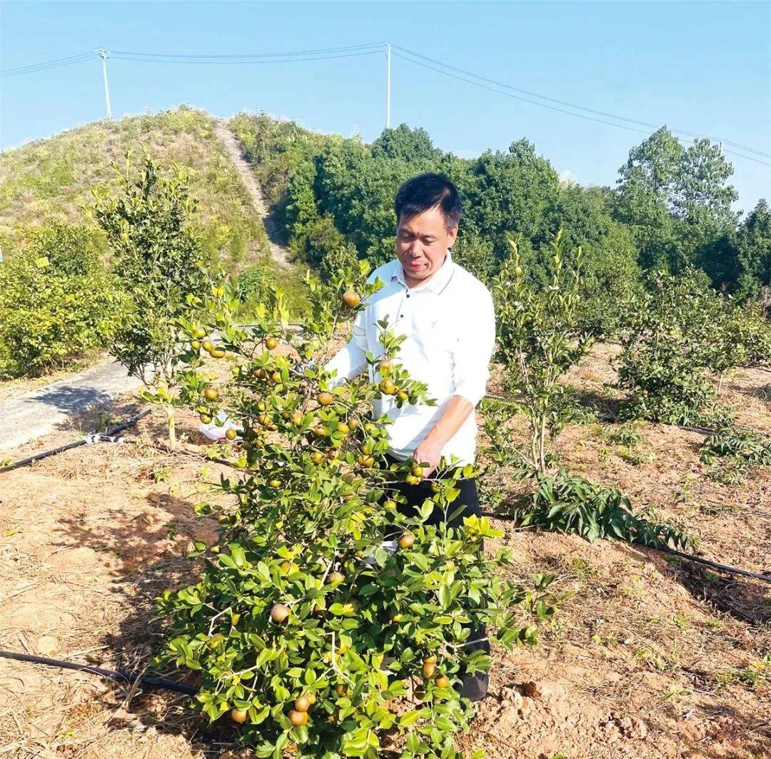 青娱乐最新官网首页,探索前沿娱乐,体验全新互动