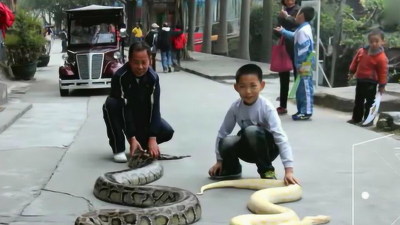巨蟒少年最新动态,小巷中的独特风味探秘