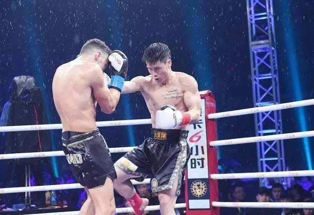 位宁辉全部比赛,一场关于友情与陪伴的温馨故事