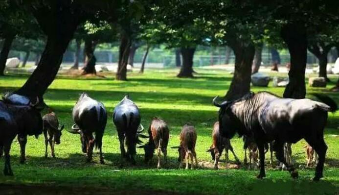 2024年12月 第42页