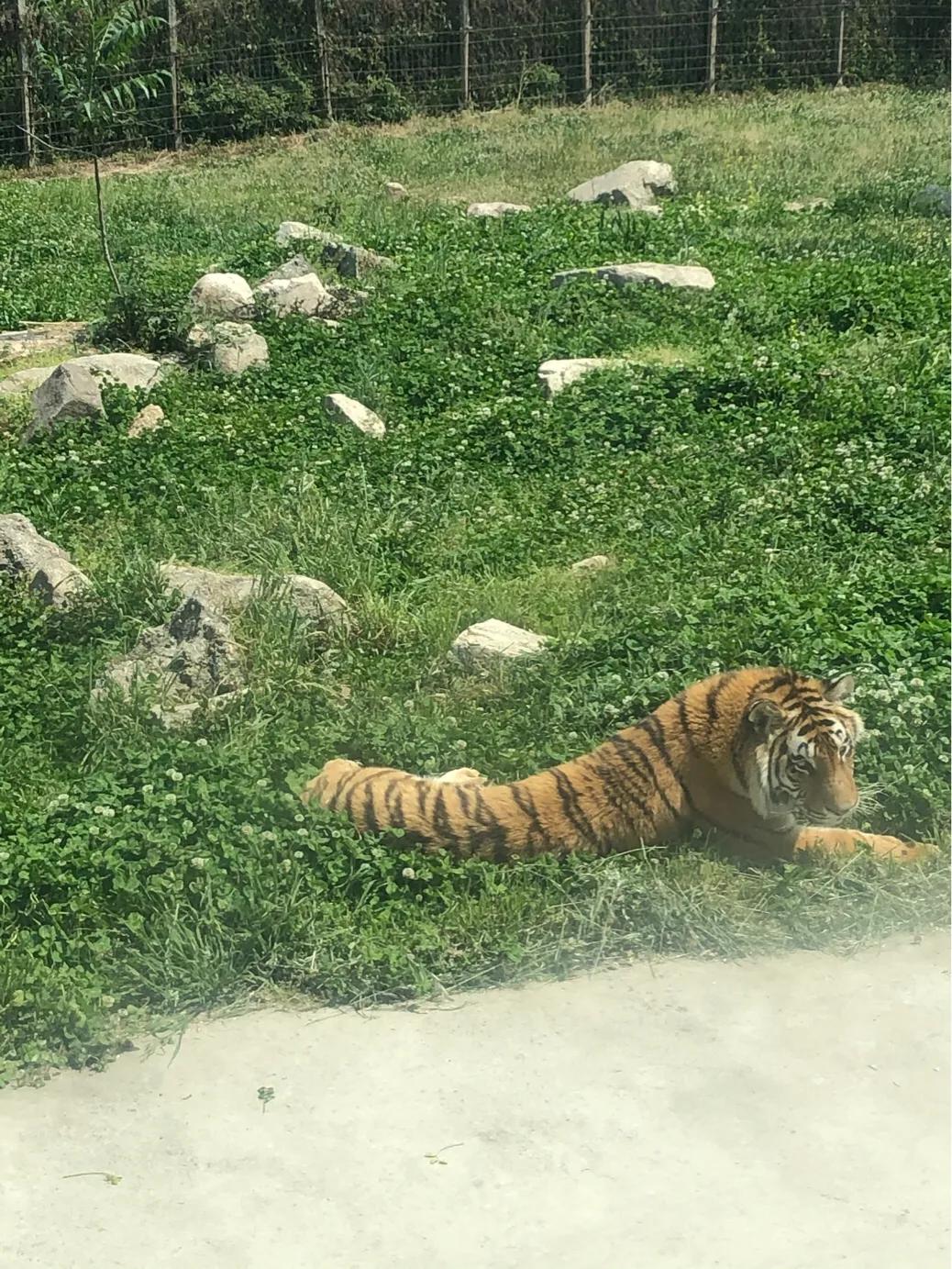 秦岭动物园门票最新价格