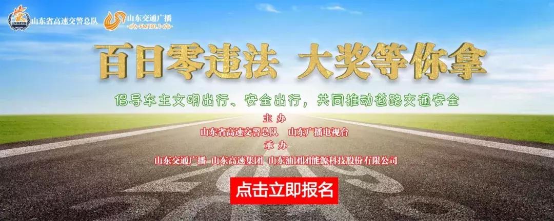 山东油价今日价格,市场走势与影响因素分析