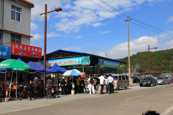 宁波西站新篇章,友情与陪伴的温馨旅程