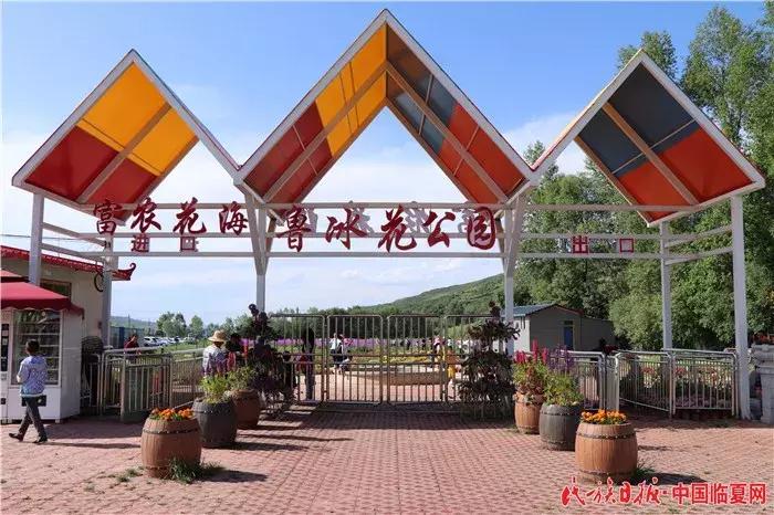 虞美人电视剧,古典美的绽放与当代情感的融合