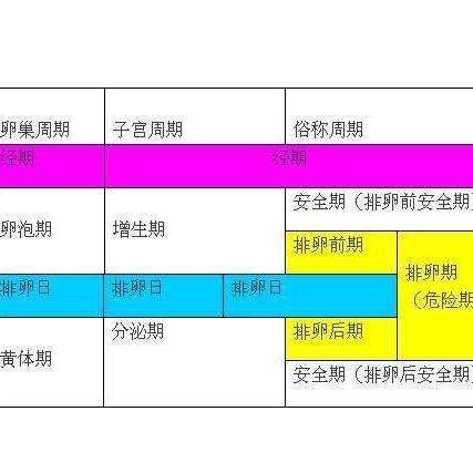 🎭演员生理期,你了解多少?🌺