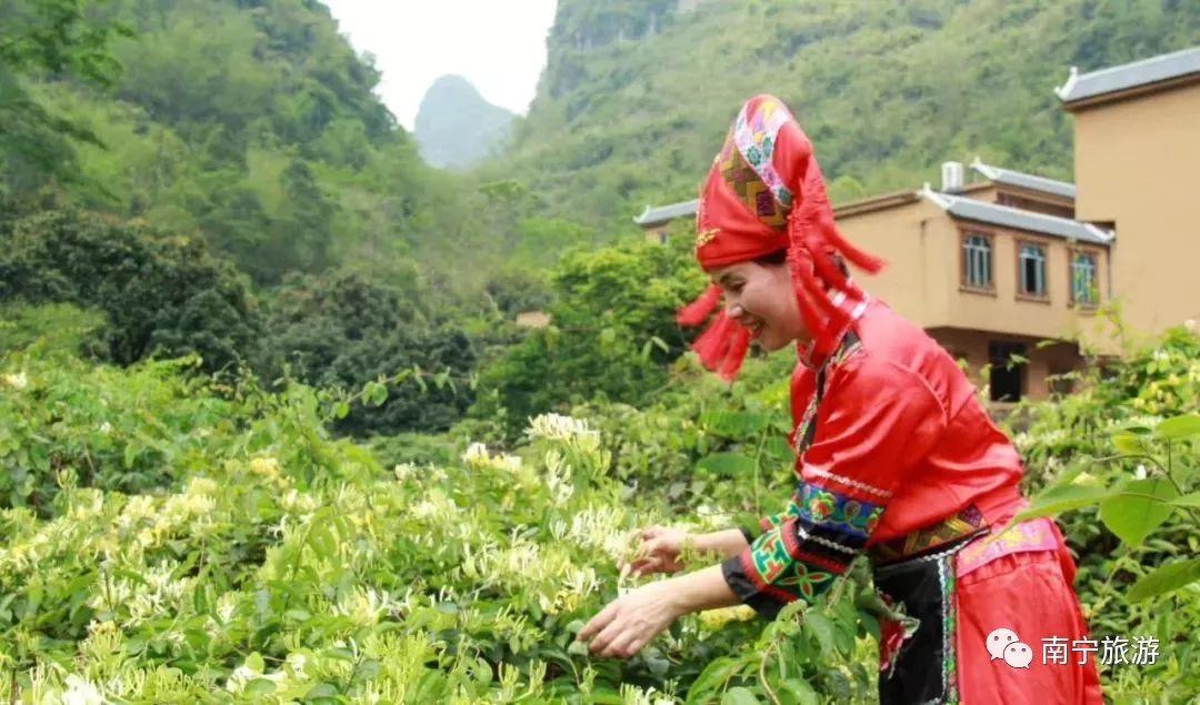 广西马山县最新交通事故背后的故事,一场自然美景之旅的启示