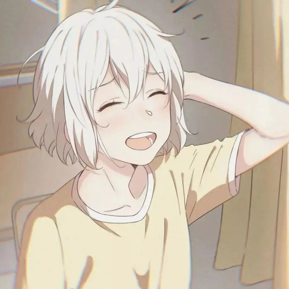 动漫查询,一段温馨的探宝之旅