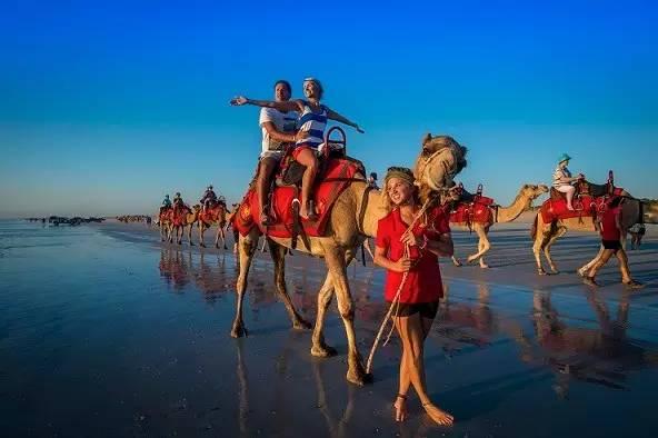 成安铁路最新动态,一场拥抱自然美景的旅行盛宴