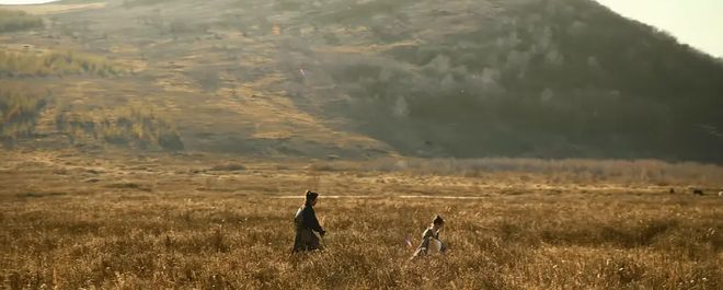 金庸电影有哪些,一场探索自然美景与内心平静的旅程