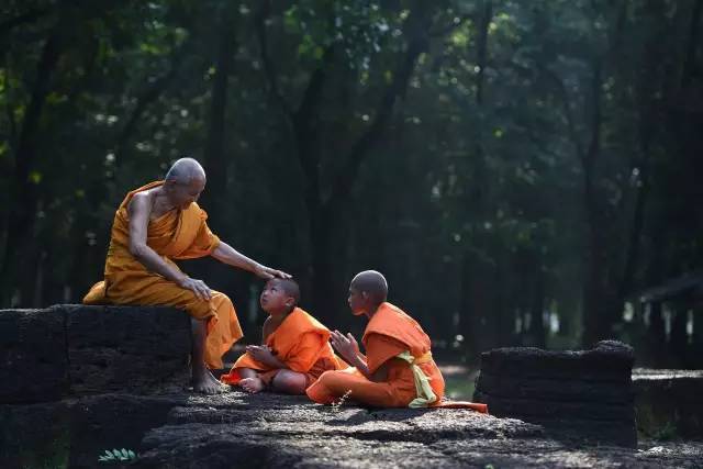 最新僧侣规范,塑造和谐佛教界的基石