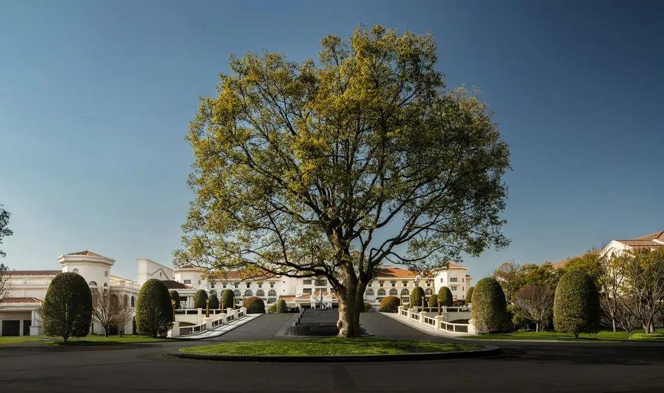 南京天气预报最新,小巷深处的天气与一家独特小店的奇遇