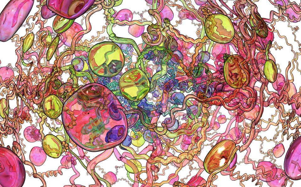 最新小黄山开发动态,科技重塑自然之美,小黄山步入智能新时代